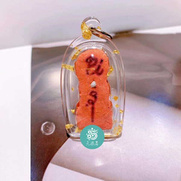 🙏阿贊南林🐞瓢蟲帕嬰🐞