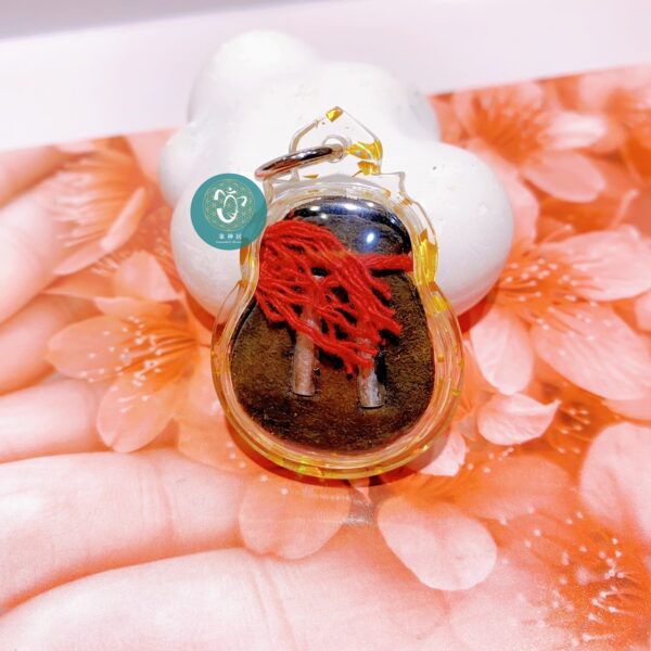 阿贊利納令 🏆錢袋招財女神🏆